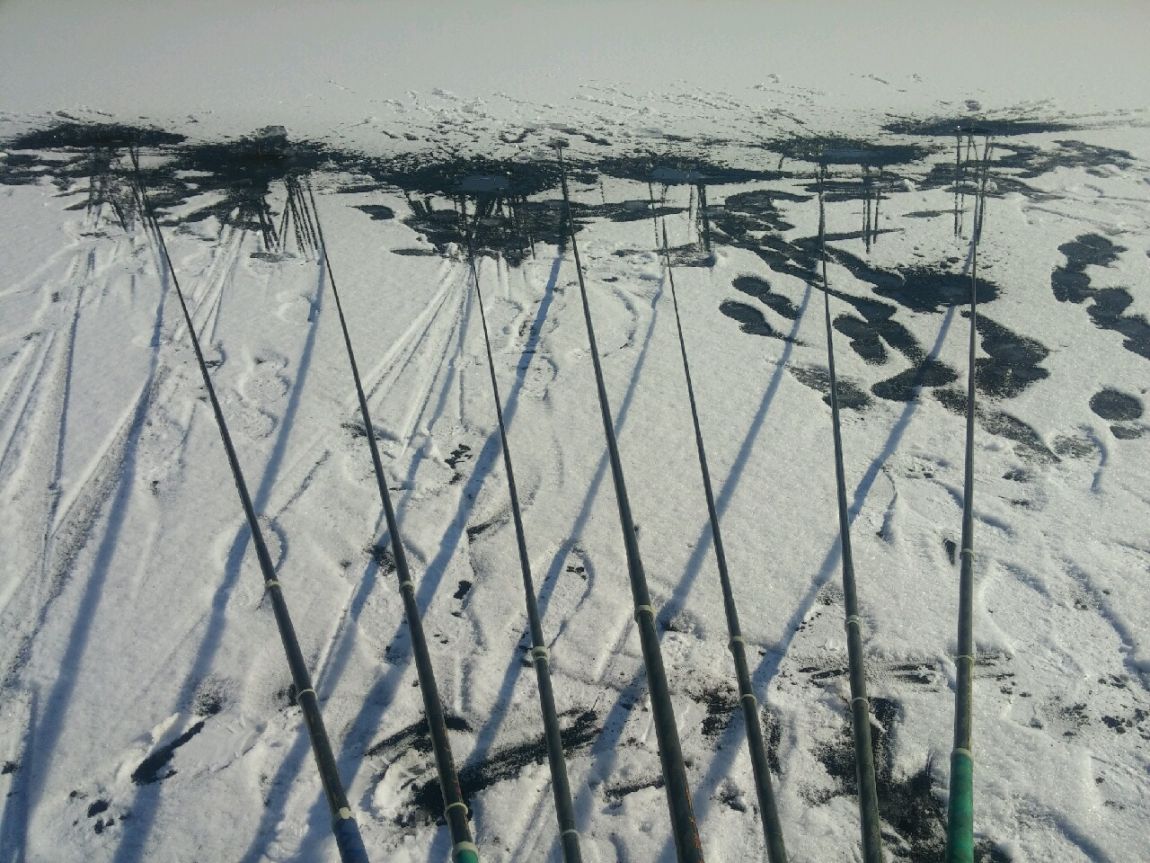 20160113_120522.jpg