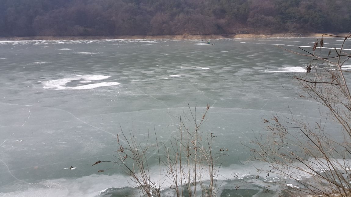 20160122_120309_006.jpg