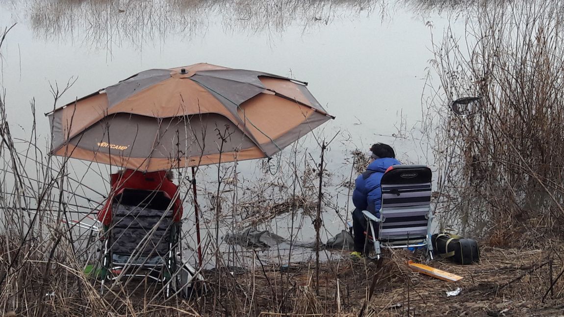 2016����������Ȳ 087.jpg