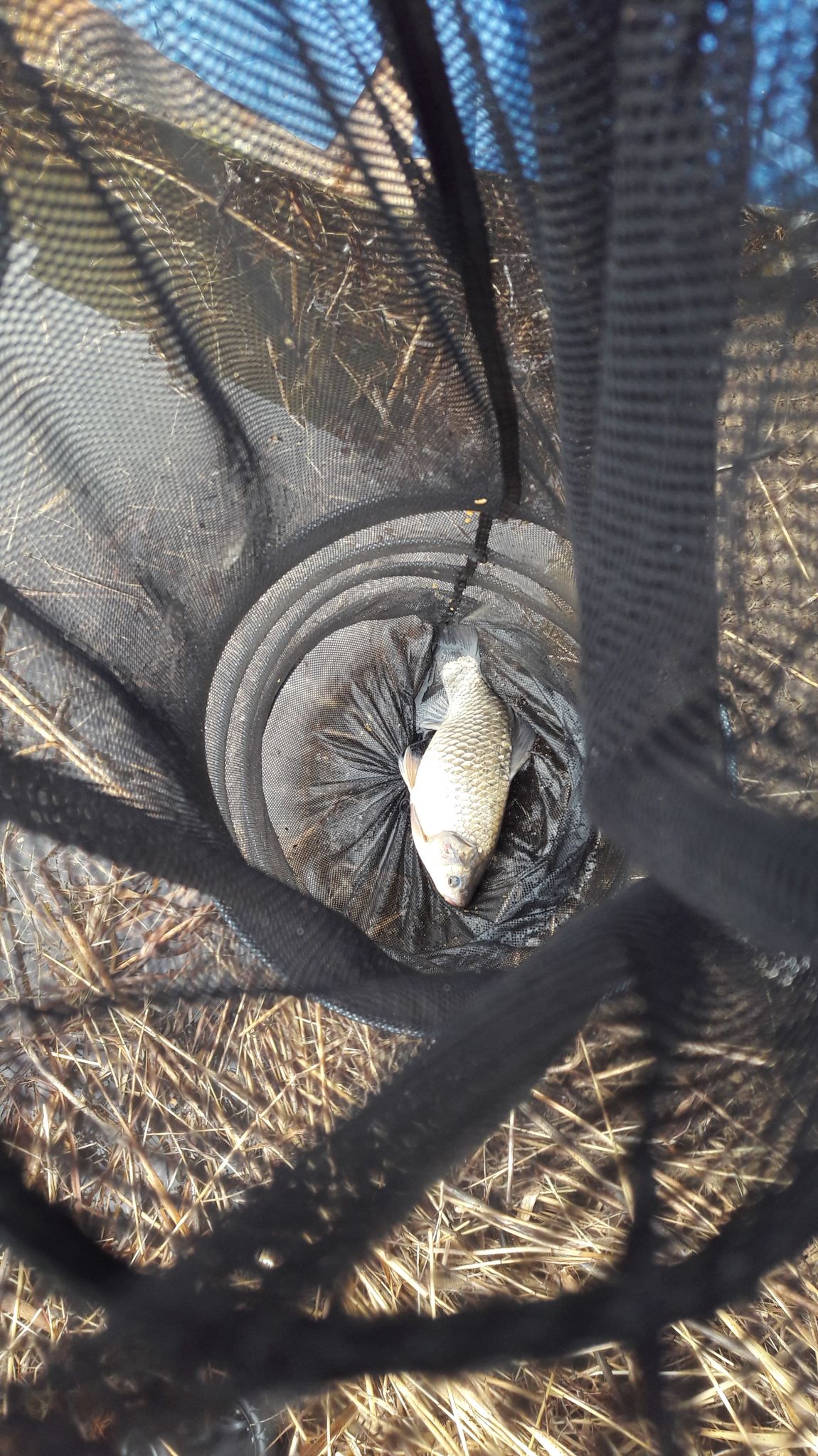 2016����������Ȳ 076.jpg