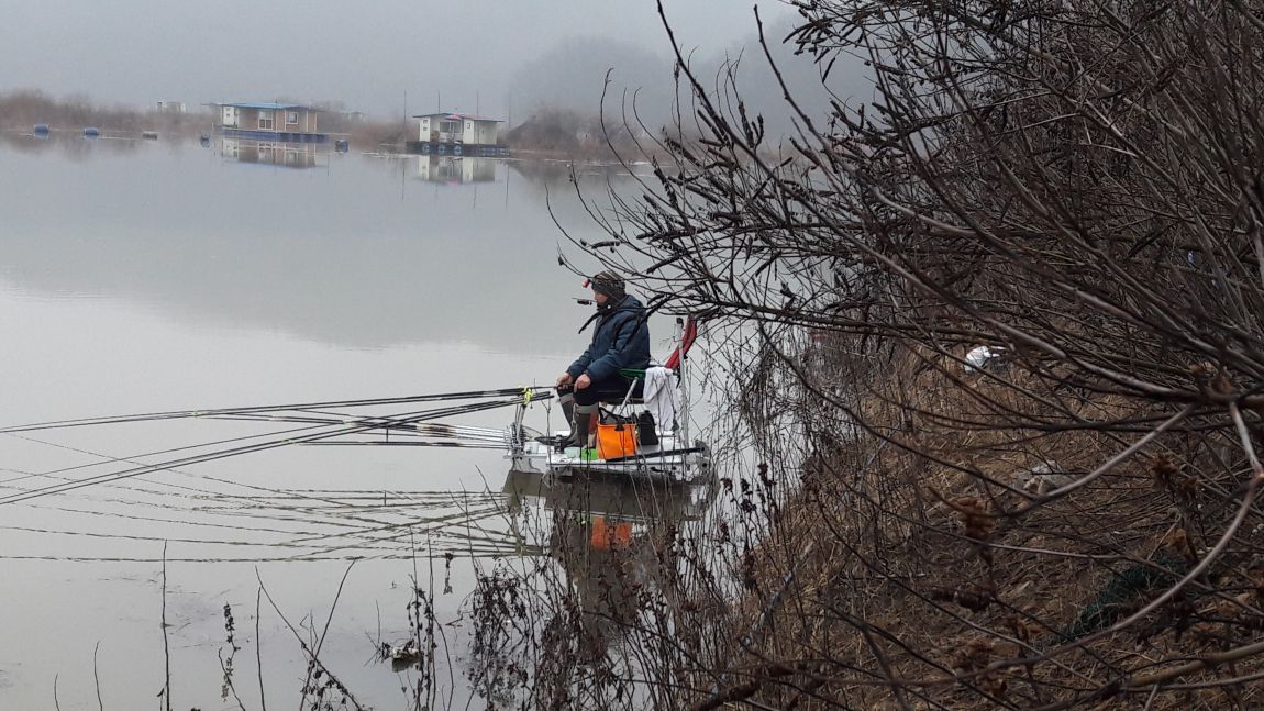 2016����������Ȳ 084.jpg