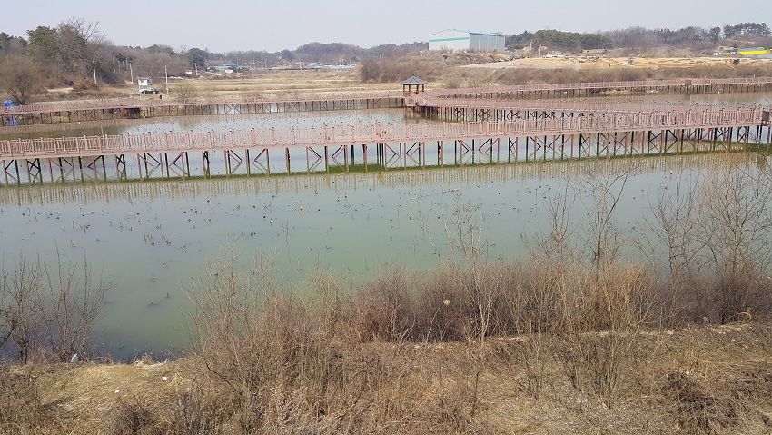 20160315_141944.jpg