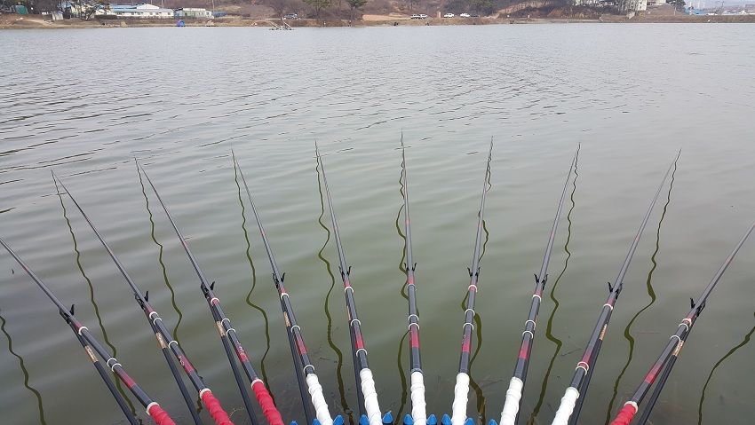 20160315_155532.jpg