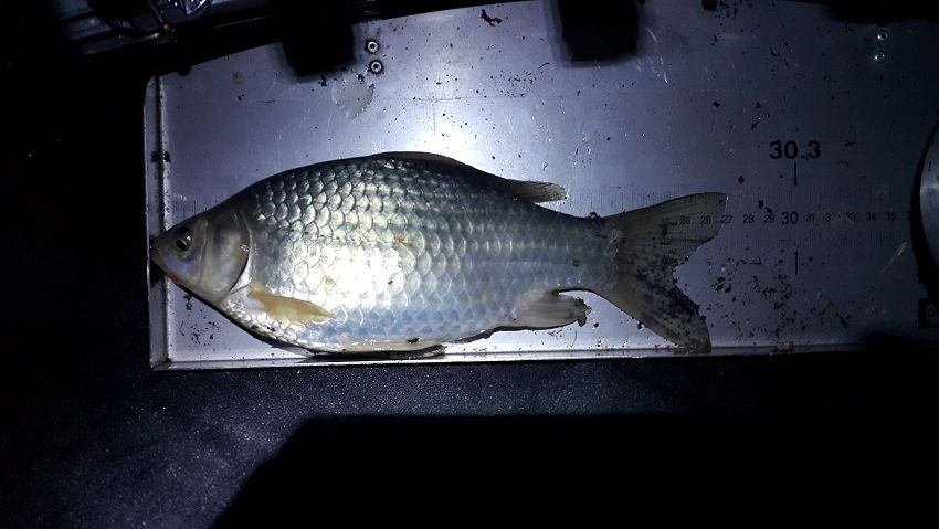 20160315_213321.jpg