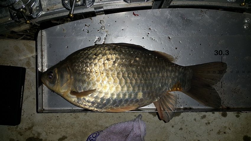 20160316_015635.jpg
