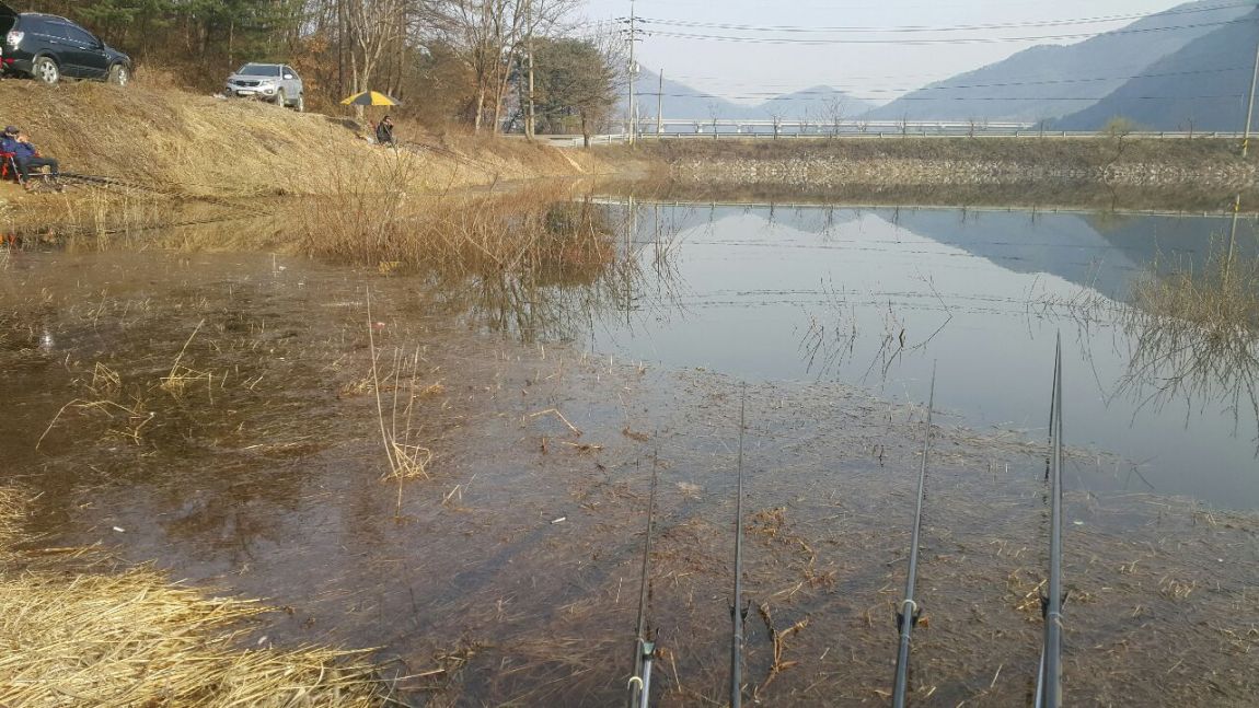 20160402_080839.jpg