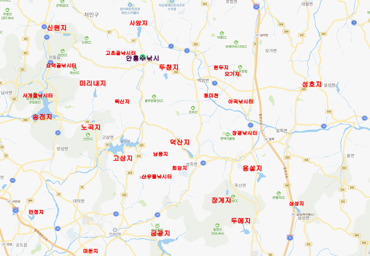 naver_map (1).png