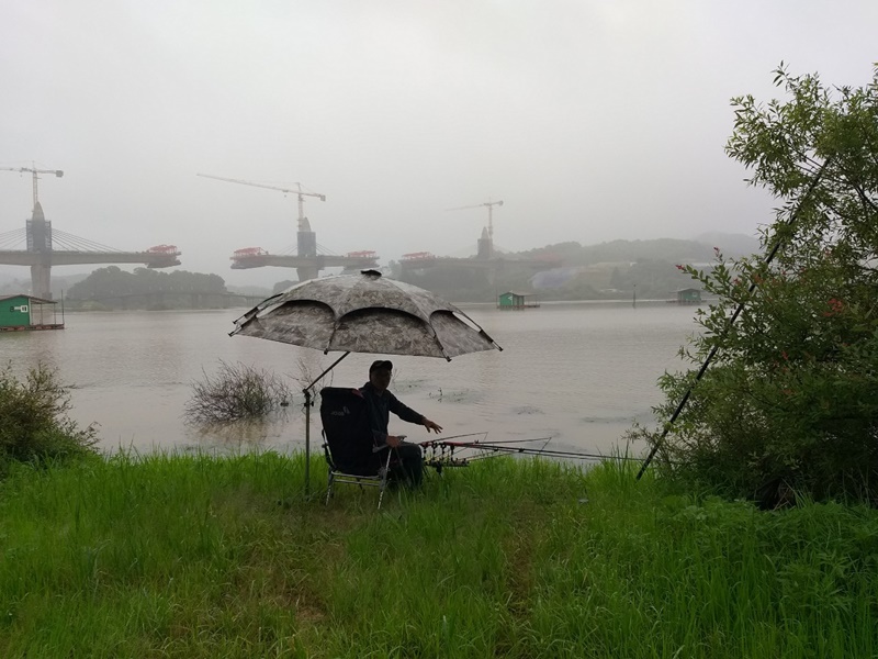 g_h72Ud018svc1qjek3y3qzvo7_fn1f2o.jpg