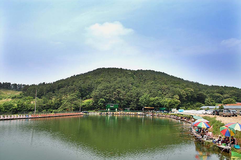 1�� ����