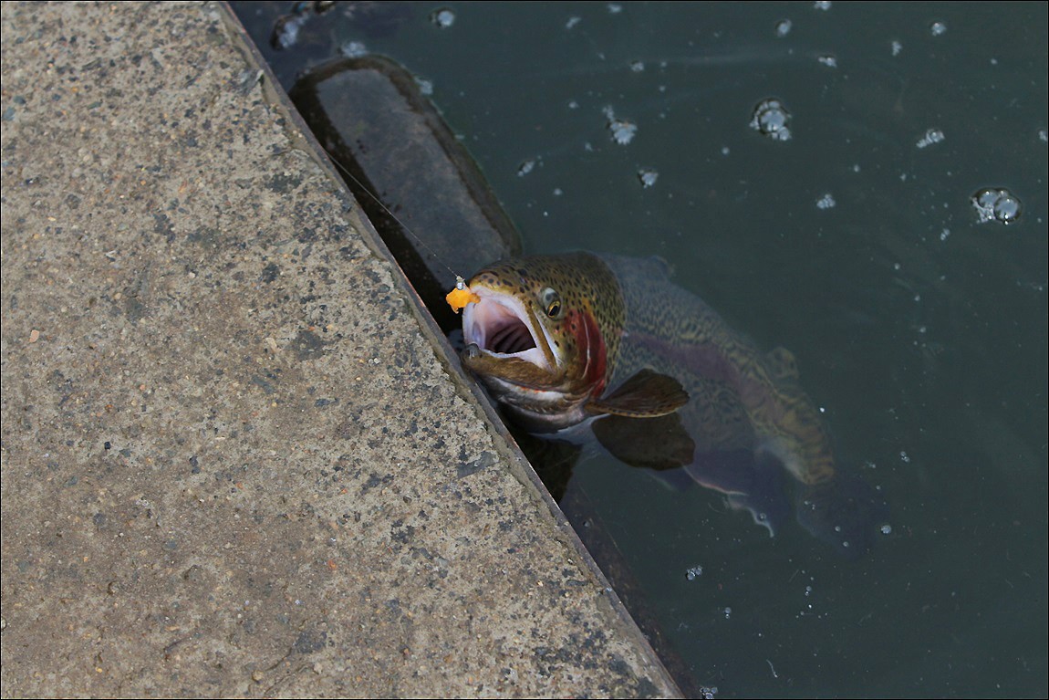 IMG_8442.JPG