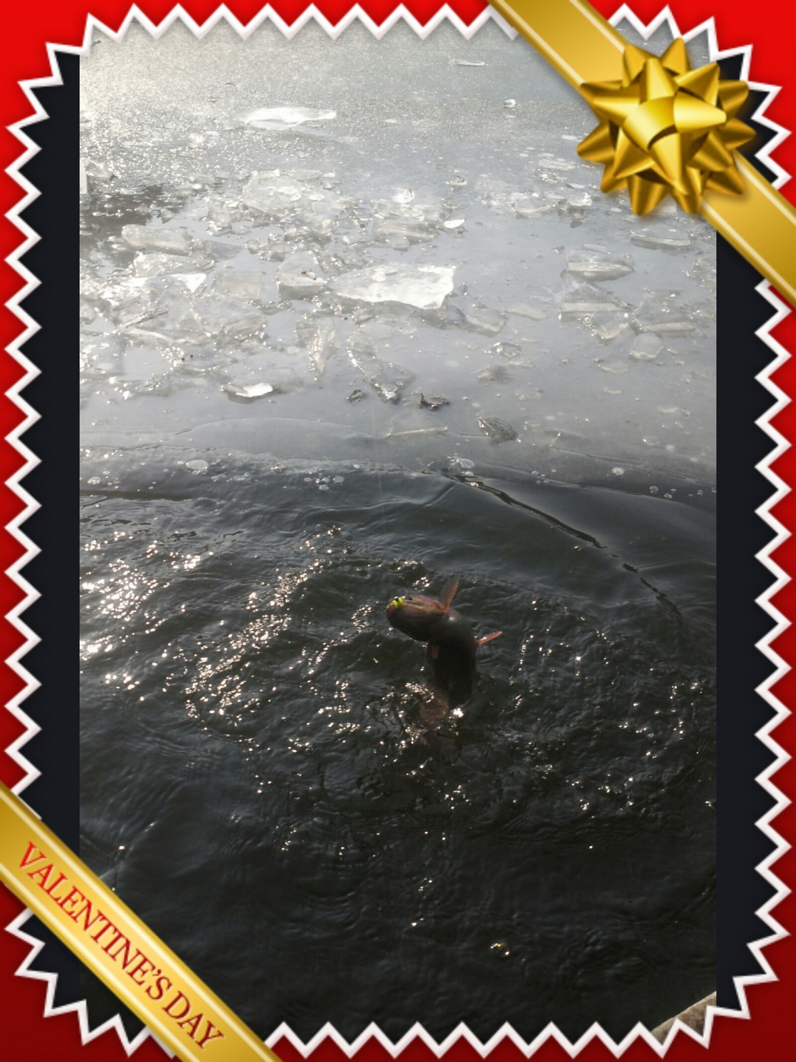 20131231_1124039_edit_2.jpeg