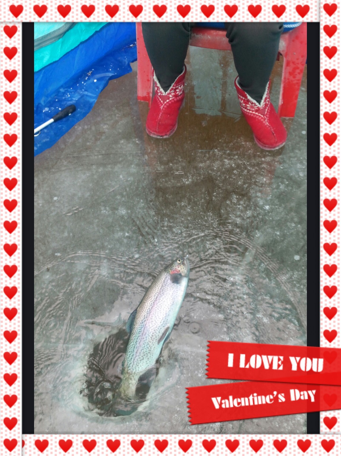 20140110_1335135_edit_1.jpeg