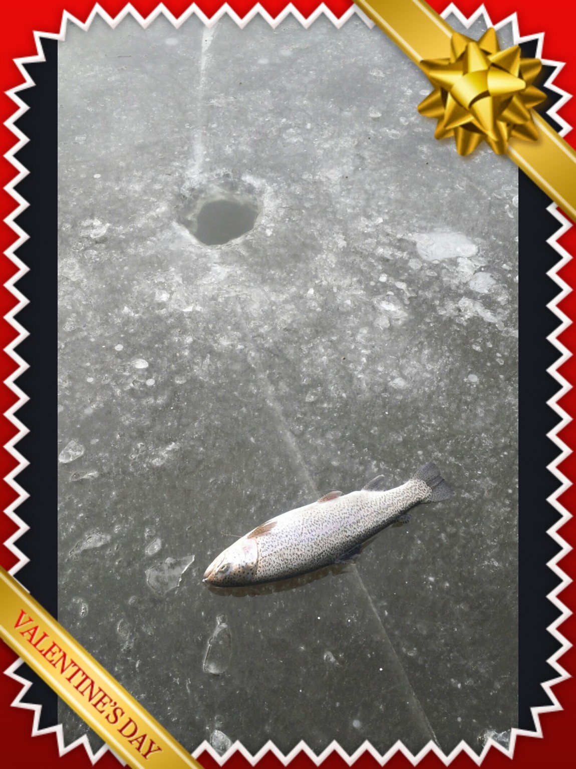 20140110_1248267_edit_1.jpeg
