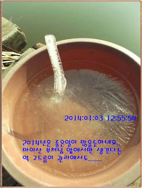 �ٹ̱�_DSCF4569[1].jpg