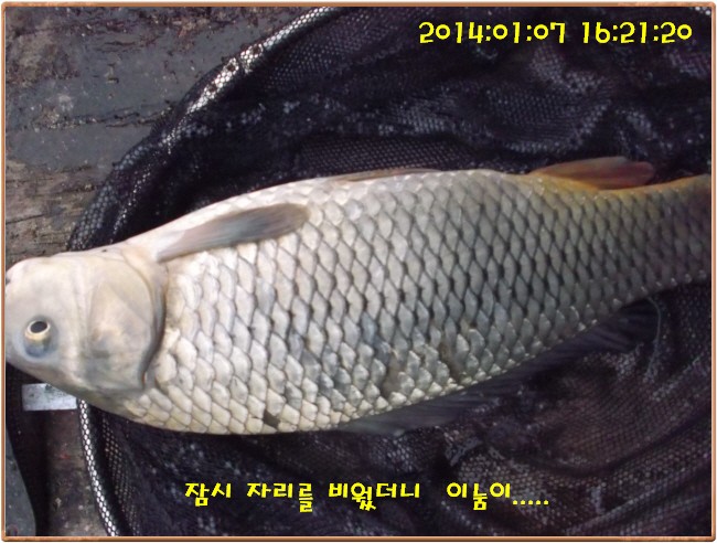 �ٹ̱�_DSCF4573[1].jpg