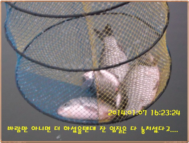 �ٹ̱�_DSCF4575[1].jpg