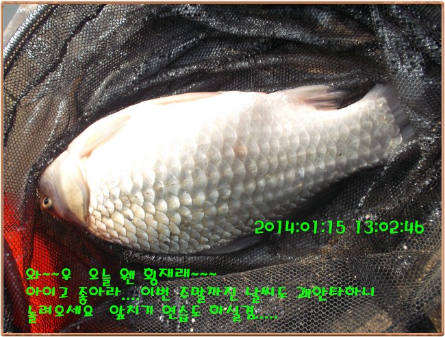 �ٹ̱�_DSCF4581[1].jpg