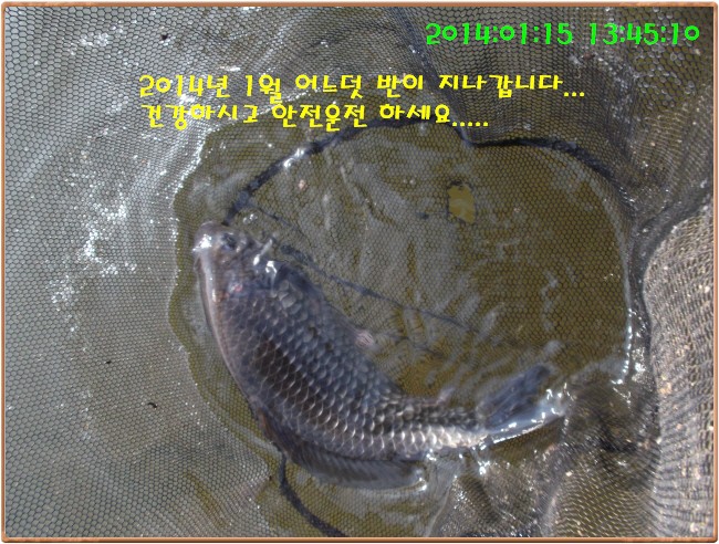 �ٹ̱�_DSCF4582[1].jpg