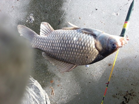 20140109_114255.jpg