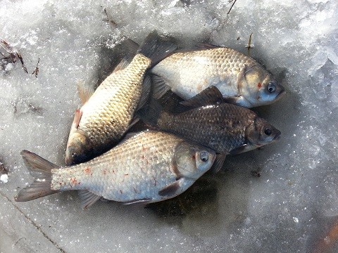 20140109_130420.jpg