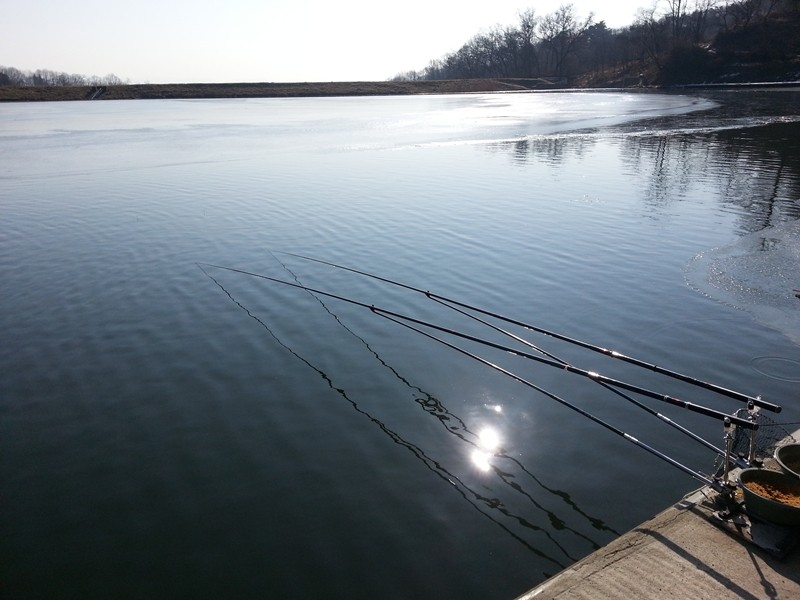 20140126_111300.jpg