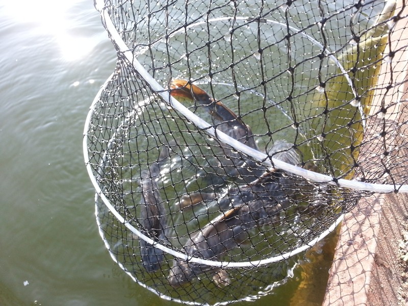 20140126_111326.jpg