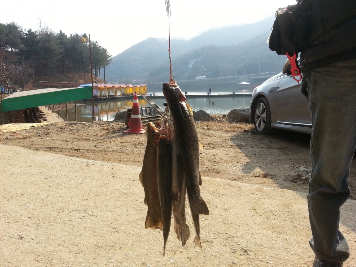 20131130_124938.jpg