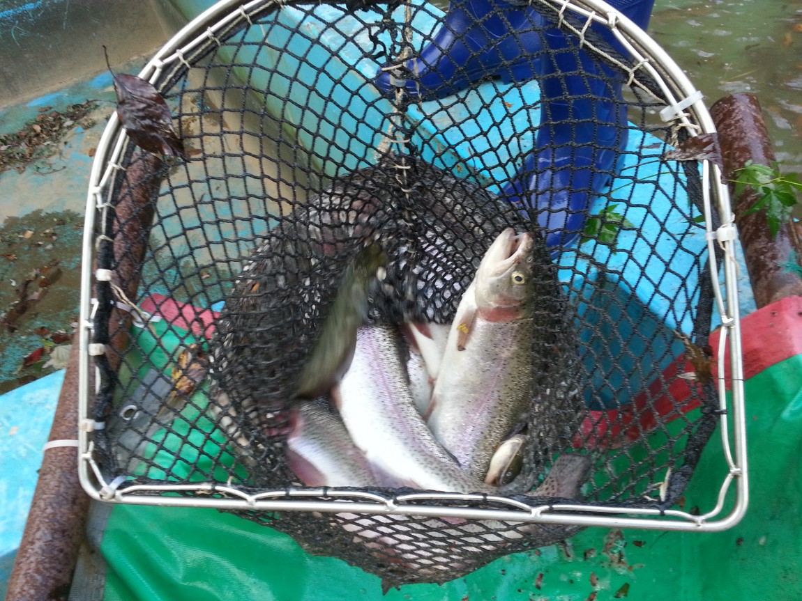20131012_171322.jpg