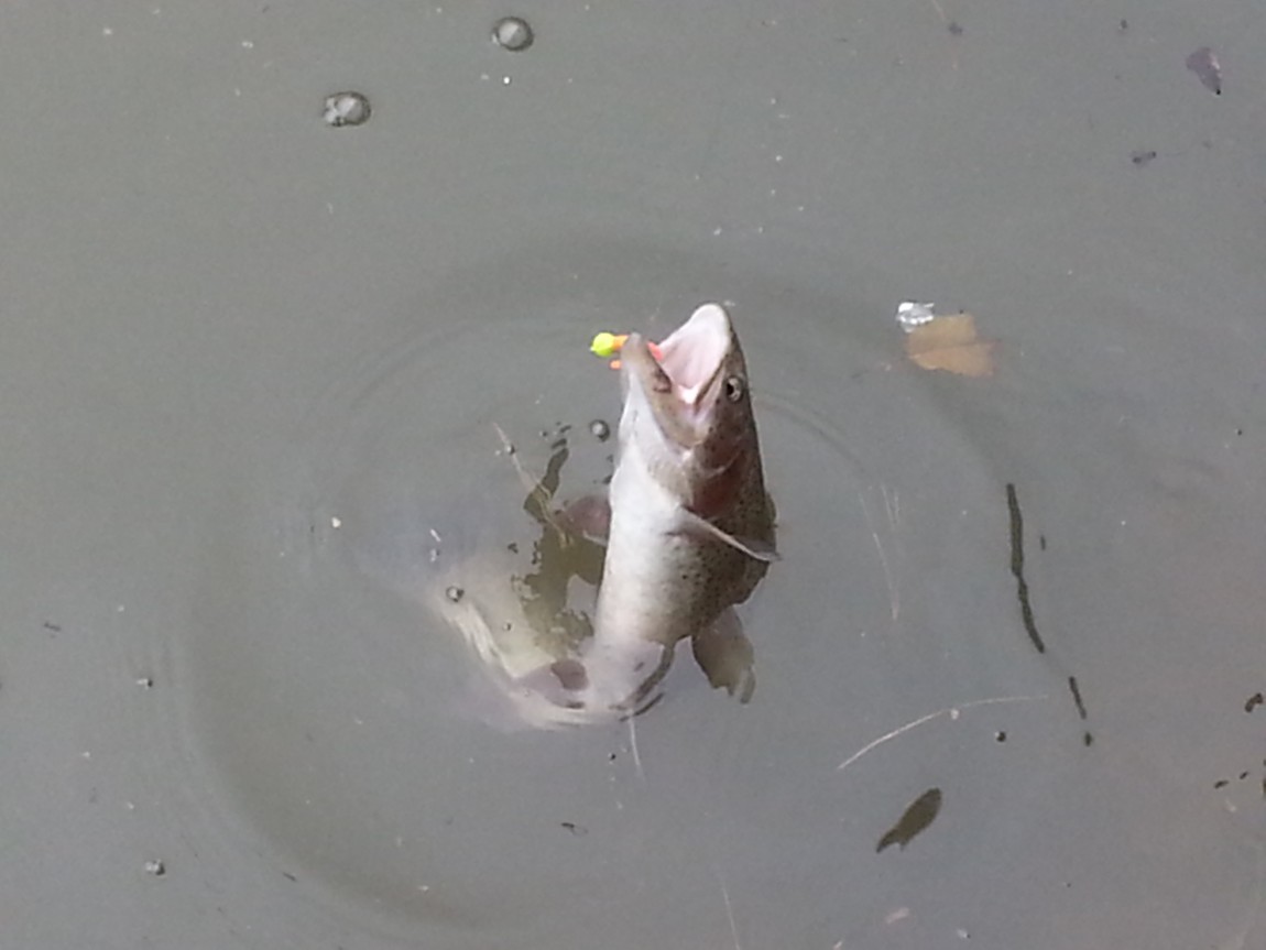 20131103_120558.jpg