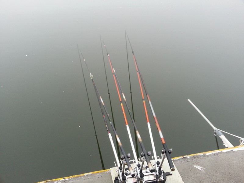20140202_091905.jpg