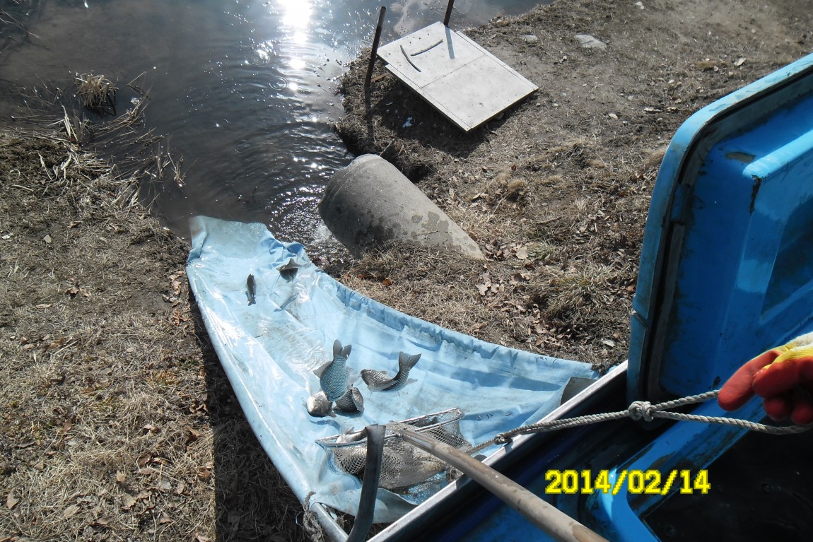 SAM_3685.JPG