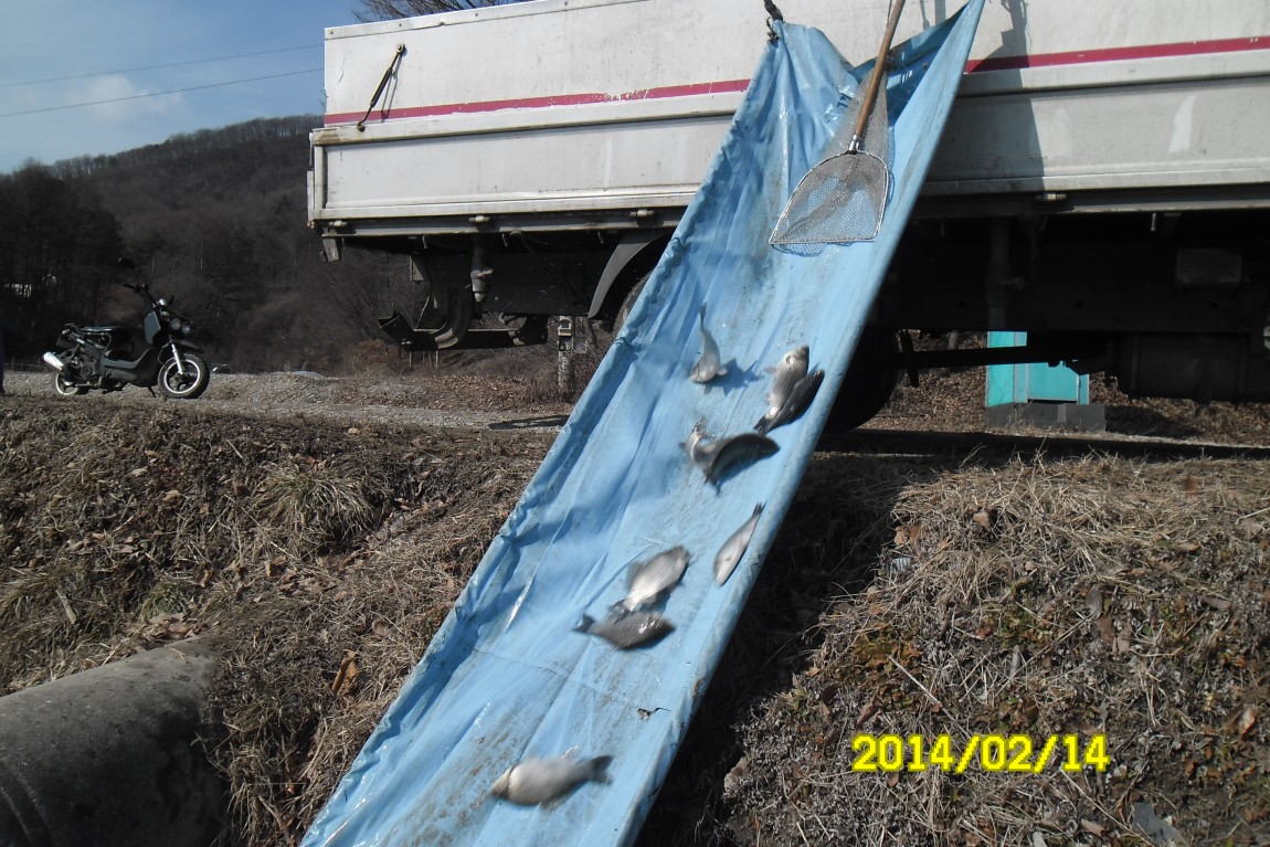 SAM_3694.JPG
