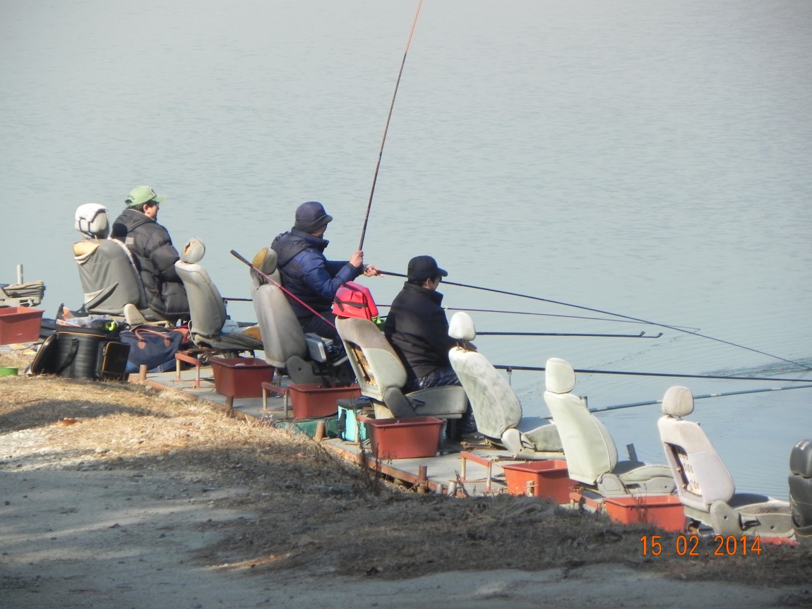 DSCN6416.JPG