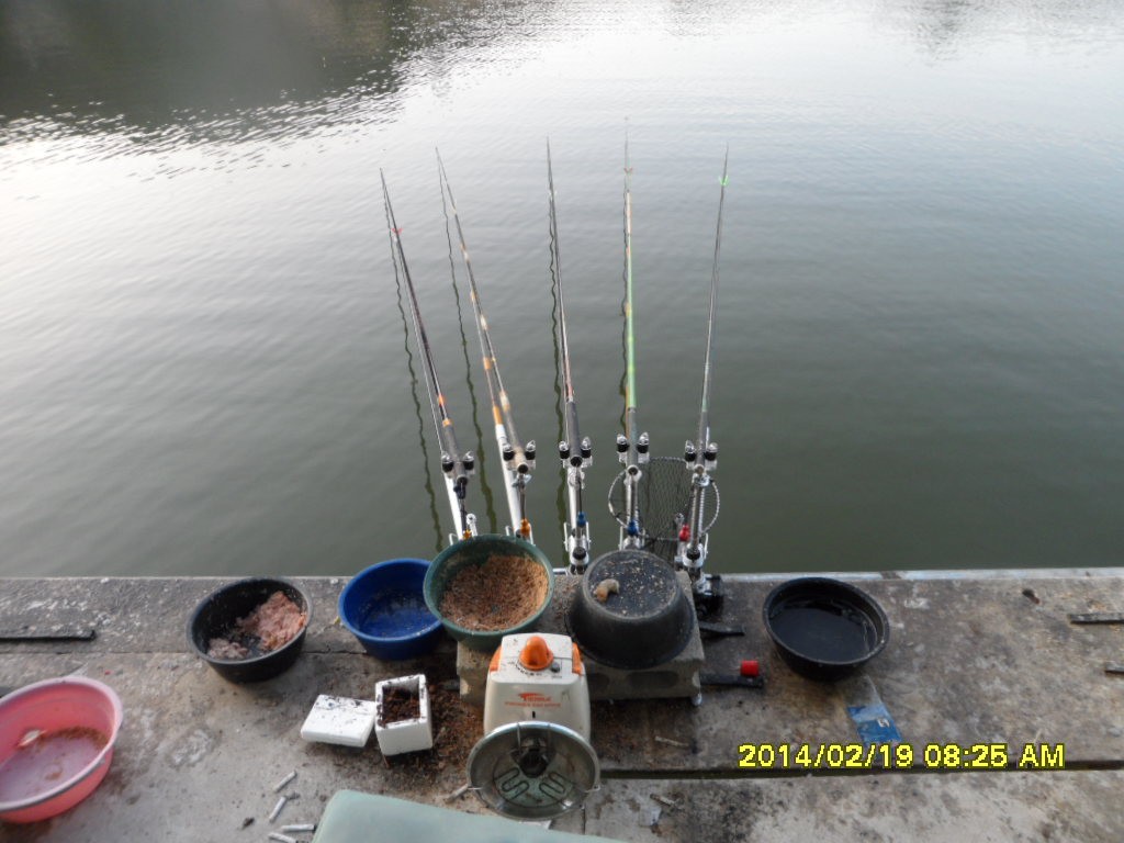 SAM_3745.JPG