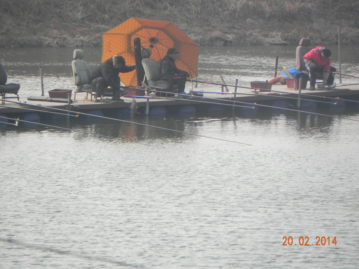 DSCN6498.JPG