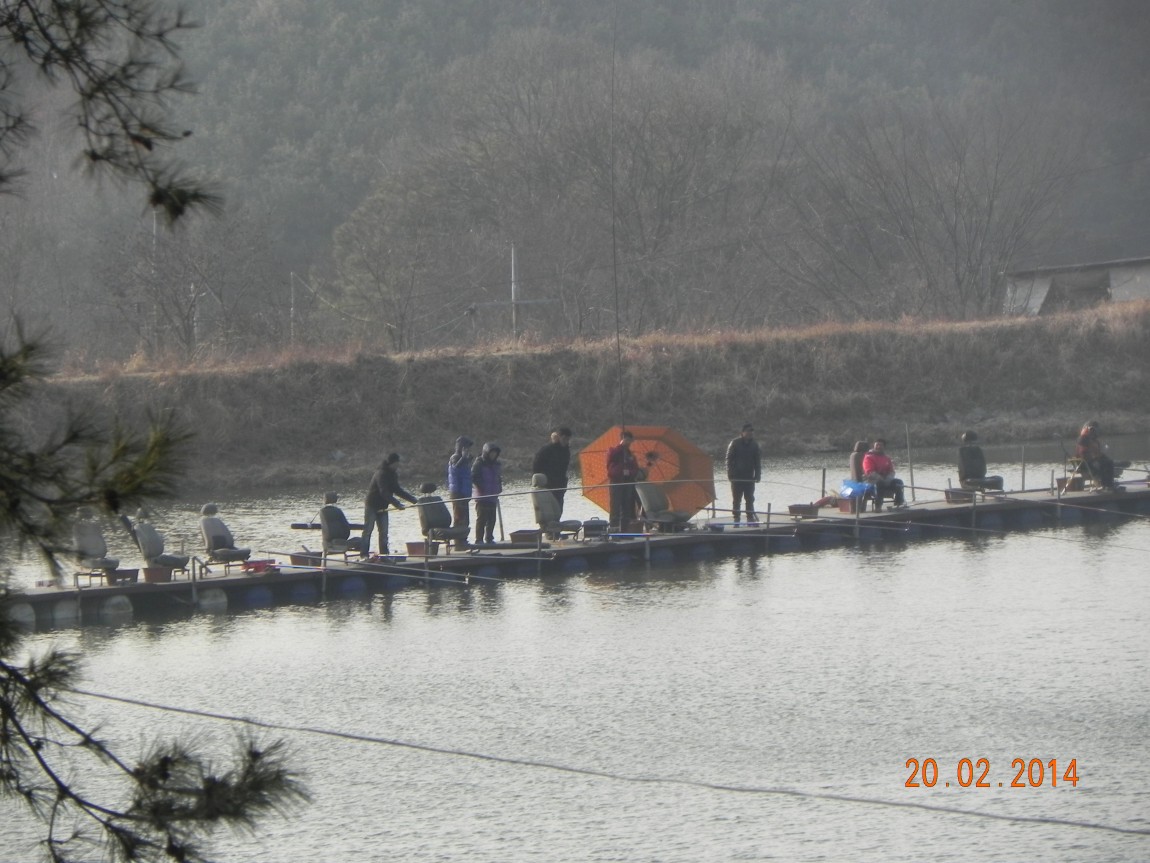 DSCN6504.JPG