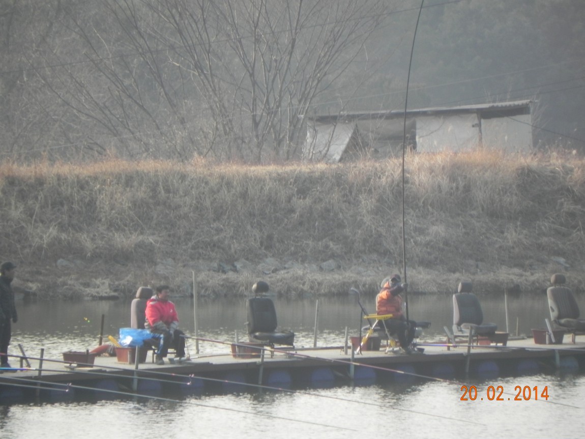 DSCN6508.JPG