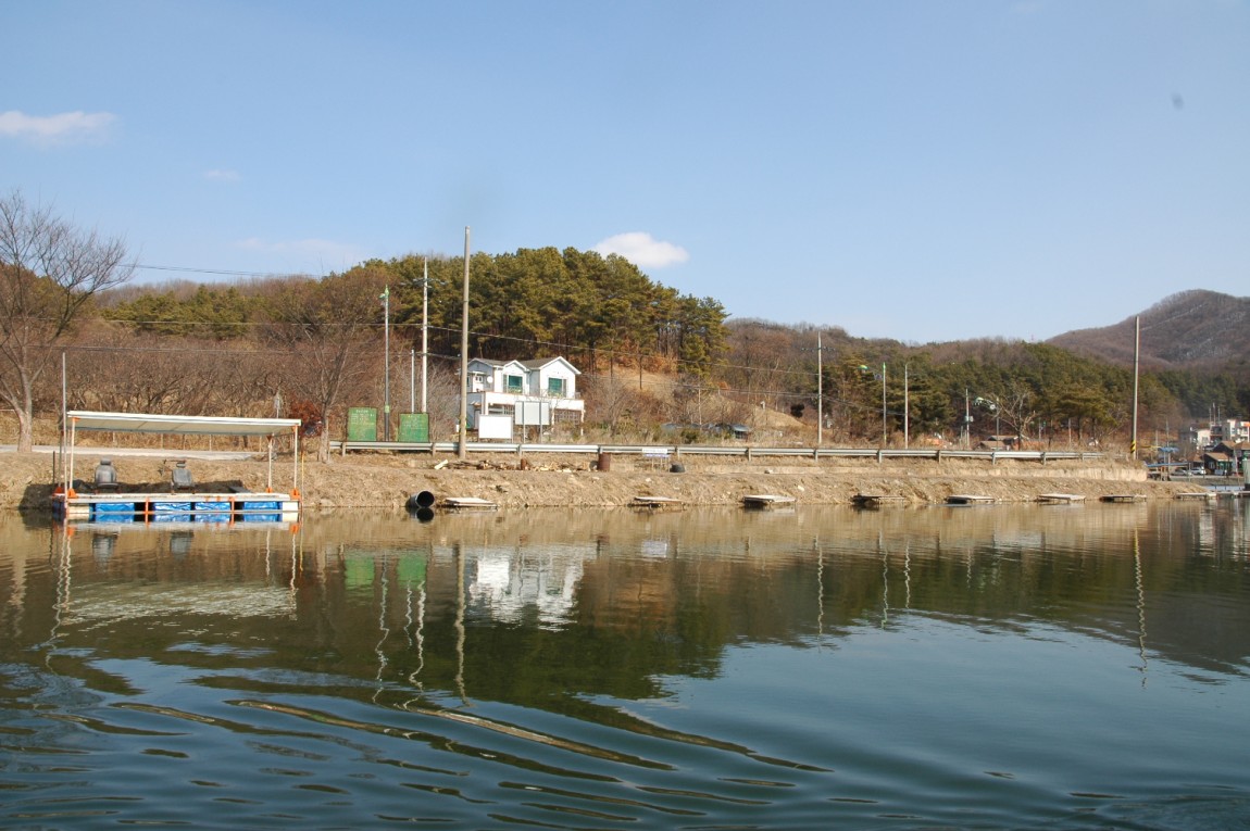 DSC_0019.JPG