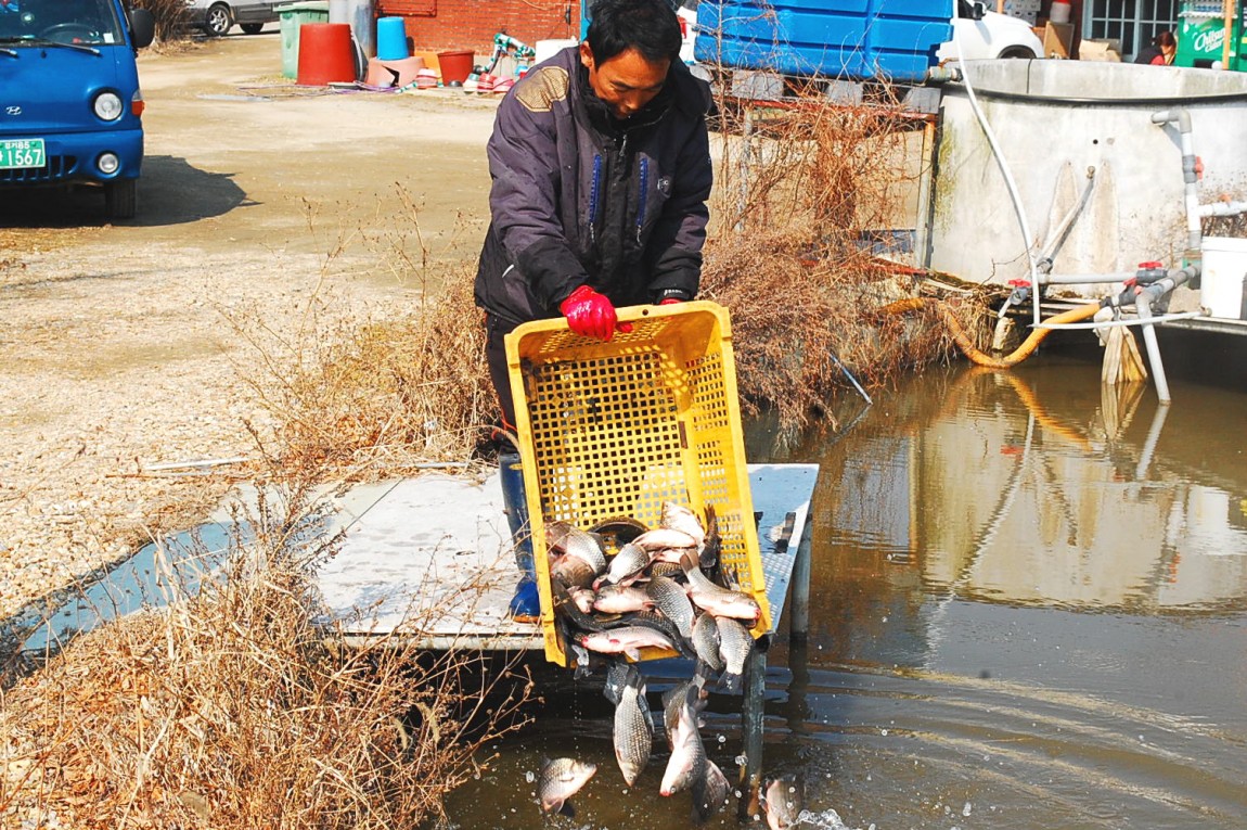 �ٹ̱�_DSC_0286.JPG
