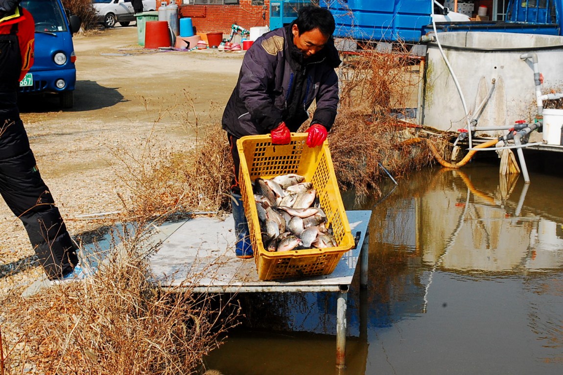 �ٹ̱�_DSC_0290.JPG