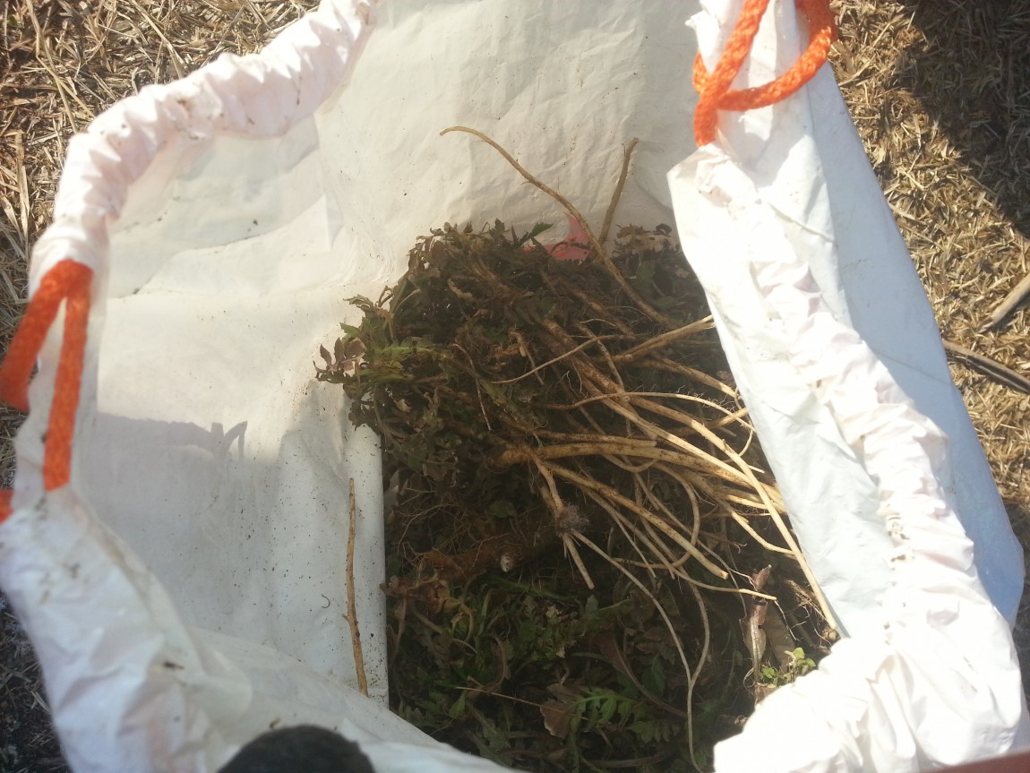 20140215_150030.jpg