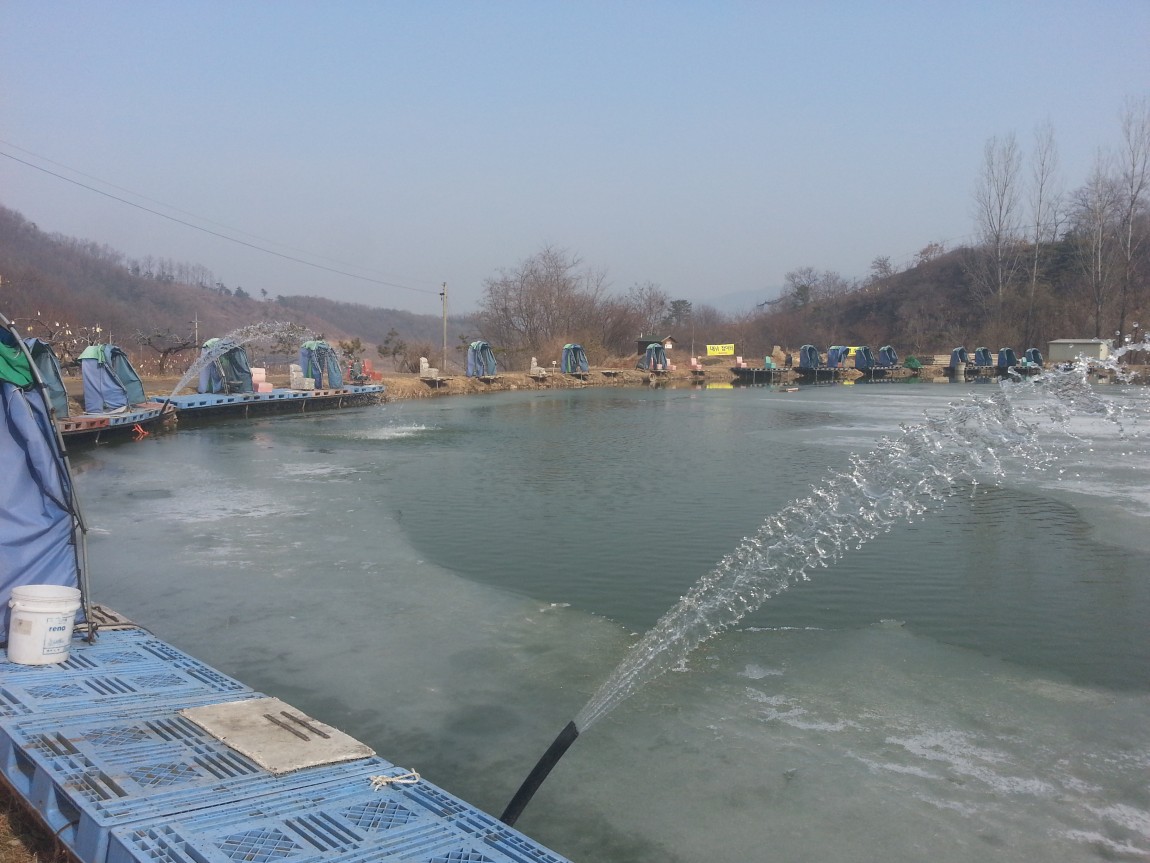20140217_105227.jpg