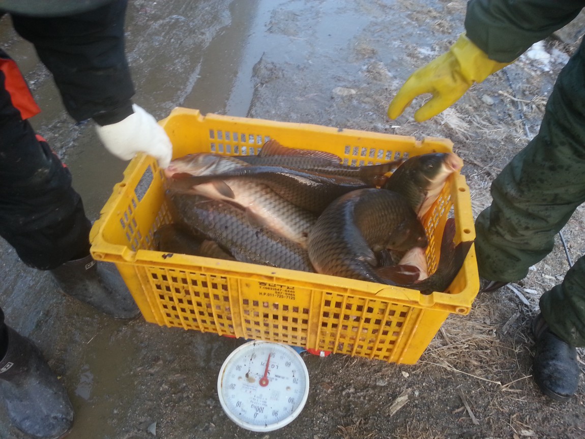 20140219_073411.jpg