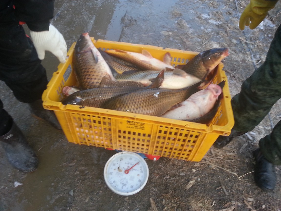 20140219_073602.jpg