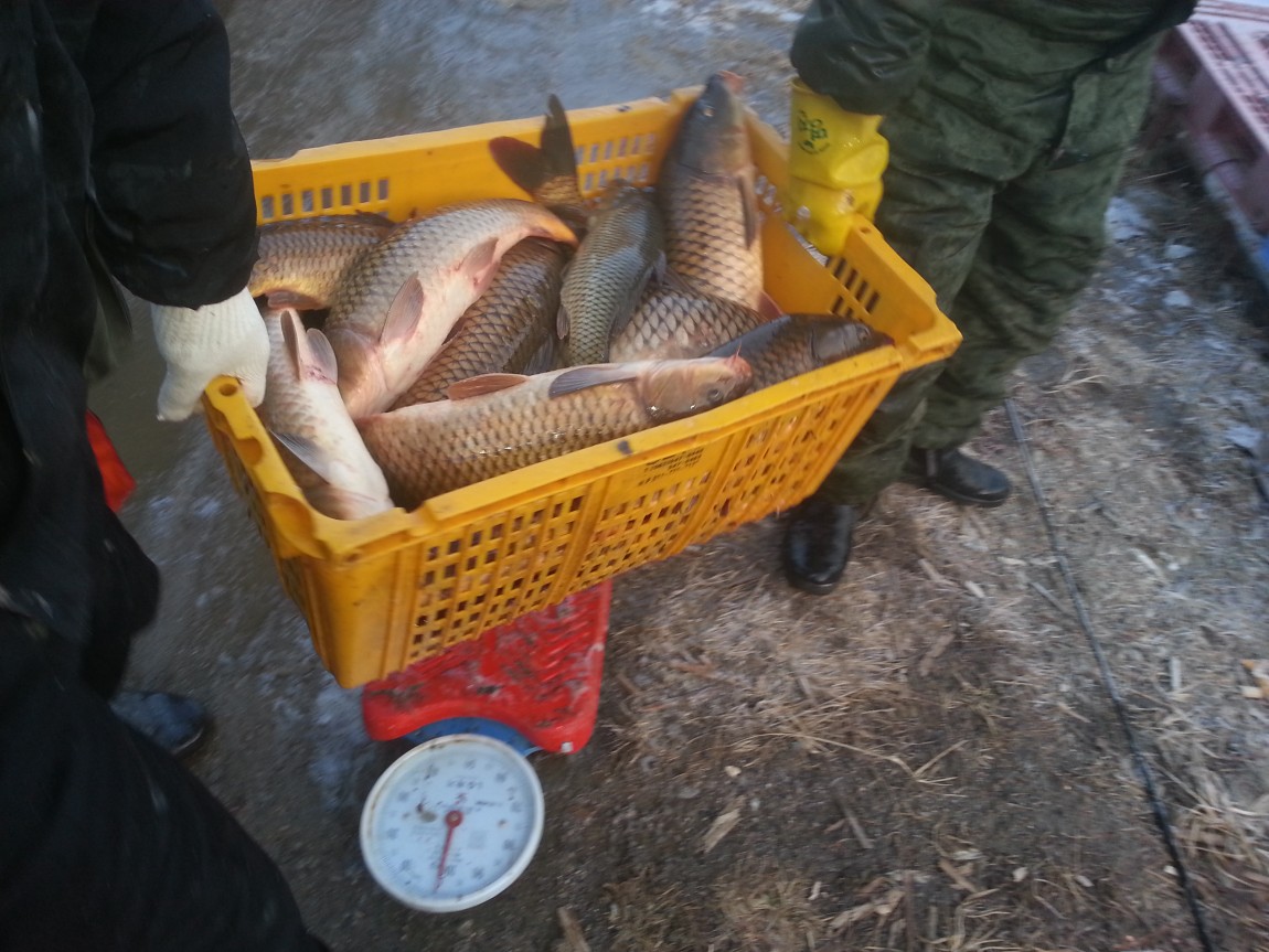 20140219_073834.jpg