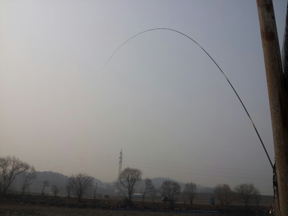 ���˴� �ڻ�.jpg