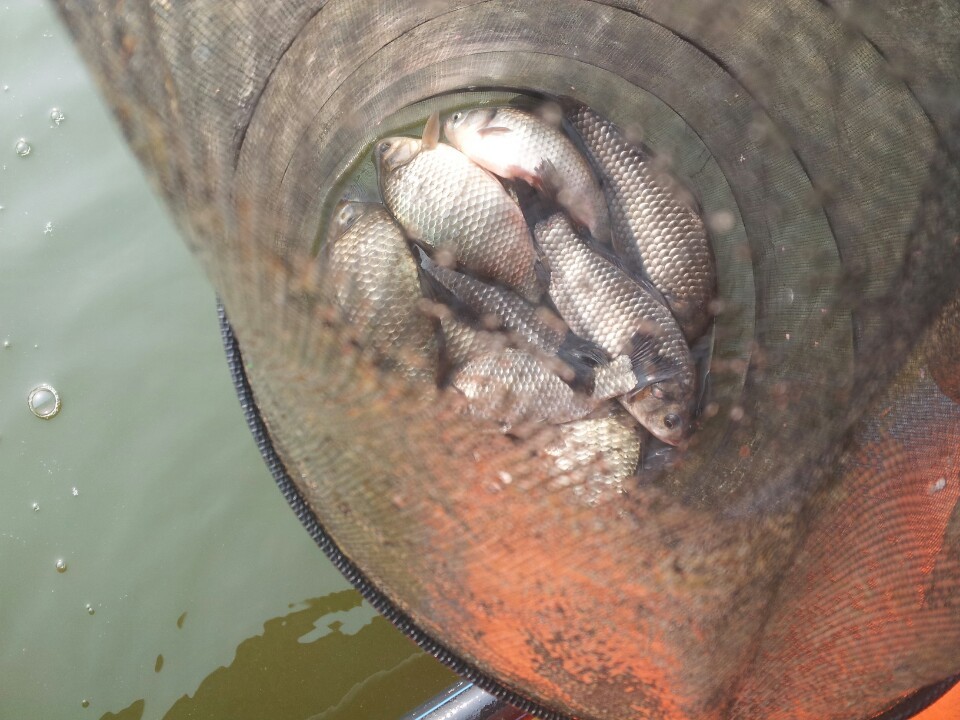 �ؾ� ����.jpg