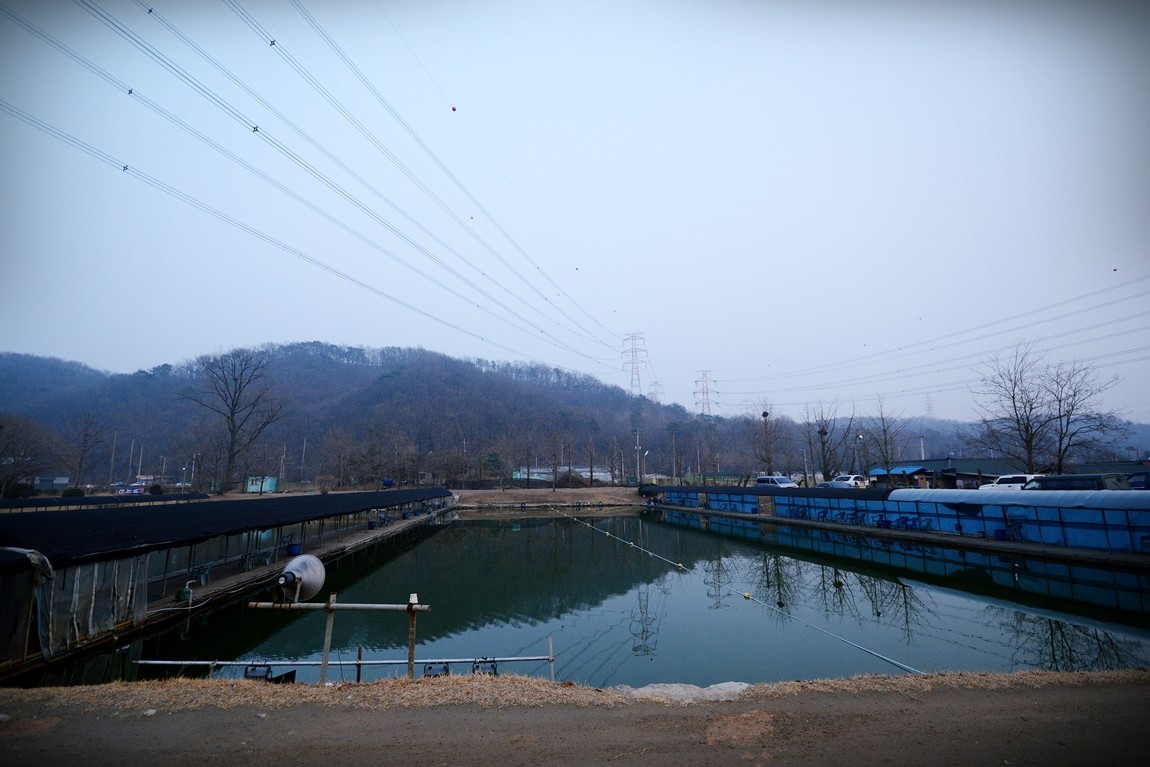 DSC_0273.JPG