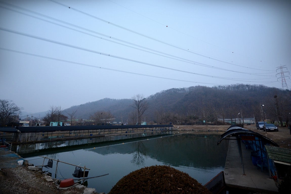 DSC_0276.JPG