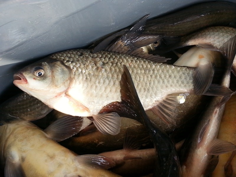 20140226_114341.jpg
